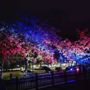 Luces LED IP65 para árboles, ideales para mercados nocturnos y pasillos festivos - Product Image 1