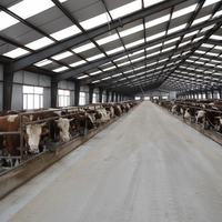 Structure en acier préfabriquée à poutres en H pour la construction de bâtiments d'élevage (poulaillers, hangars pour vaches, bâtiments laitiers)