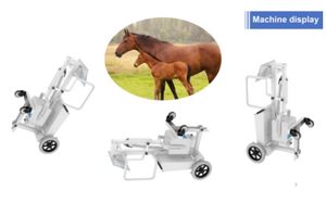 8KW医療診断用高周波デジタル胸<span class=keywords><strong>X</strong></span>線マシン - Product Image 3