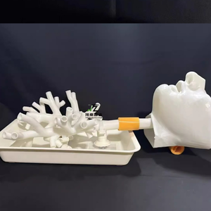 Nuevo Modelo Blanco Rígido de Cuarto Nivel para Enseñanza y Entrenamiento Médico en Broncoscopia, Árbol Bronquial - Product Image 4