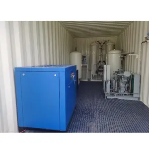 Generator Oksigen Portabel Yang Dirancang dengan Nyaman untuk PSA Dalam Wadah Pabrik Gas Oksigen PSA Di India