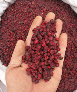 Atacado Natural Seco Wu Wei Zi Ervas Frutas Secas <span class=keywords><strong>Schisandra</strong></span> <span class=keywords><strong>Chinensis</strong></span> - Product Image 5