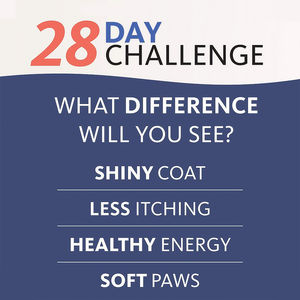 Vendita calda Omega 3 olio di pesce mastica morbida per cani e gatti cura della salute degli animali domestici e integratore nutrizionale per la salute del mantello della pelle - Product Image 4