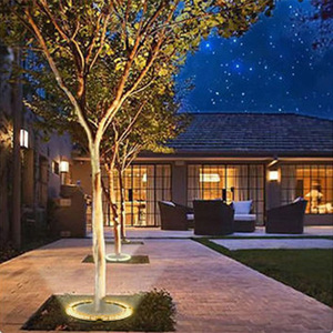 Anillo de Luz LED RGBW IP65 Impermeable para Árboles, Decoración de Jardín Exterior de Aluminio, Poste de Luz para Parque, Aro de Coco, Iluminación de CC - Product Image 5