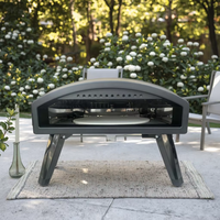Four à pizza au gaz portable commercial de 12 pouces, grille-pain d'extérieur, le meilleur four à pizza au gaz avec certification CE