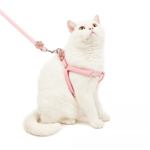 <span class=keywords><strong>Harnais</strong></span> réglable pour <span class=keywords><strong>chat</strong></span> avec fleurs en velours Sangle de poitrine <span class=keywords><strong>Harnais</strong></span> et laisse pour animaux de compagnie Teddy mignon Corde de traction de sécurité pour chien - Product Image 4