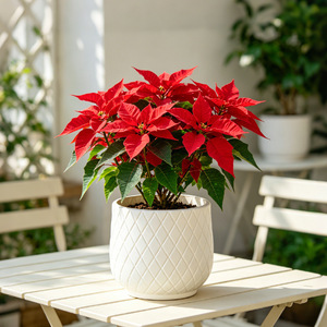 Grand couvercle de <span class=keywords><strong>pot</strong></span> de fleurs sur pied pour plantes en terreau, résistant aux chocs, en PE épaissi, design minimaliste de style européen - Product Image 1