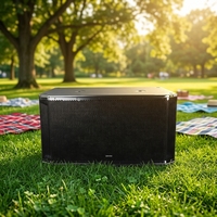 VAMAV VS218 18 "4 Ohm AC Bocinas Subwoofer çift kilise Bar konseri için güç amplifikatörü profesyonel ses PA sistemi DJ sahne