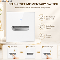 Panel Saklar Dinding Kaca Temper Putih DepoGuye, Soket Eropa Retro, Saklar Lampu Toggle LED, USB-C/USB-A, IP20, 16A, 250V, EU/UK