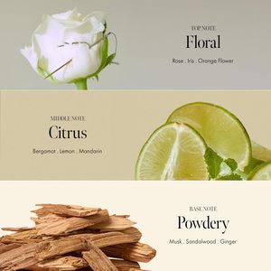 Shampooing sans rinçage lissant hydratant <span class=keywords><strong>réparateur</strong></span> anti-pelliculaire OEM ODM pour cuir chevelu bouclé et gras à l'eau de rose de Damas et aux graines de rose musquée - Product Image 6