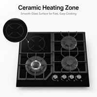 Cuisinière 2-en-1 Gaz et Électrique 60 cm en Verre, Haute Efficacité de Combustion, Prix de Gros Chine, Fabricant