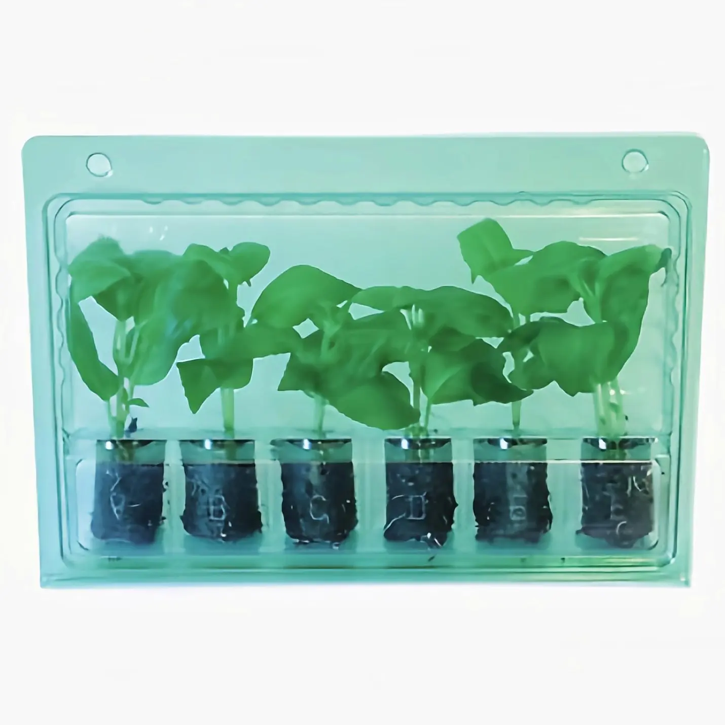 Прозрачная зеленая блистерная упаковка на заказ, упаковка раскладушки для растений, блистерная упаковка для растений