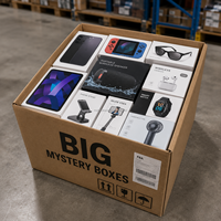 Caja Misteriosa con Controles de Videojuegos, Relojes, Smartphones, Tablets, Auriculares, Cámaras de Seguridad, Baterías Externas para Reventa en Comercio Electrónico