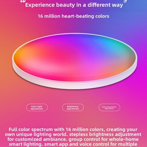 ไฟเพดาน LED RGB ปรับความสว่างได้ 30W พร้อม WiFi สำหรับห้องนั่งเล่น โคมไฟเพดานอัจฉริยะ - Product Image 3