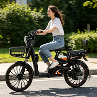 Vélo électrique économique pour étudiants avec roues de 20 pouces et moteur de 500W, accélérateur et assistance au pédalage, deux modes, batterie au plomb-acide