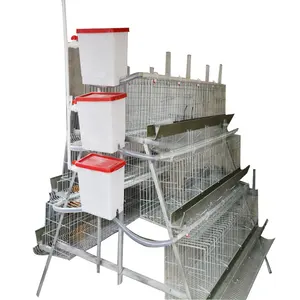 Battery design layer chicken cages with automatic system in Tanzania