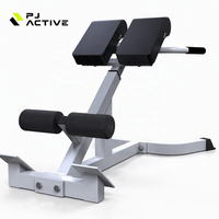 PINJIAN Appareil de fitness multifonctionnel réglable pour musculation, chaise romaine, banc d'exercices pour extensions dorsales
