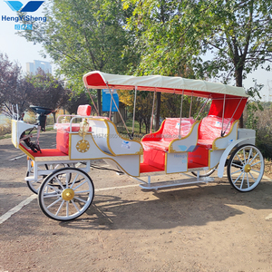 Carruaje de caballos eléctrico de 9 plazas de lujo para turismo y bodas Transporte especial - Product Image 6