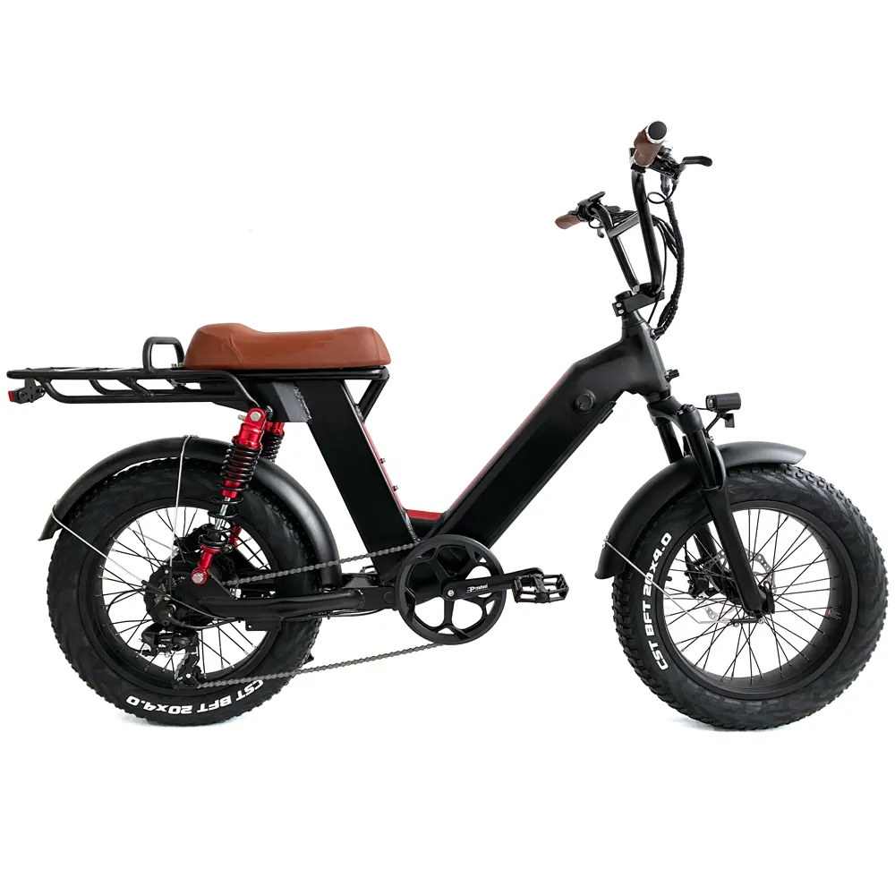 20 Inci Bicicleta Electrica Suspensi Penuh Offroad Fat Ebike 500W/750W/1000W Sepeda Lemak Listrik Semua Medan Ban Lemak E-bike