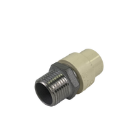 Adaptateur en acier inoxydable IP mâle 1/2" CPVC x 1/2"