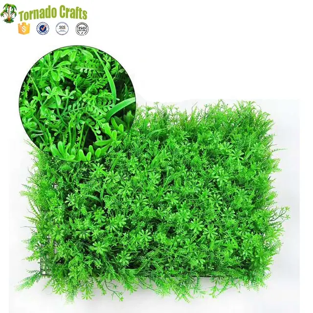 ZXQ20131218 الاصطناعي جدار النبات استخدام في الهواء الطلق النباتات الخضراء البسيطة الاصطناعي الجدار الأخضر للزينة