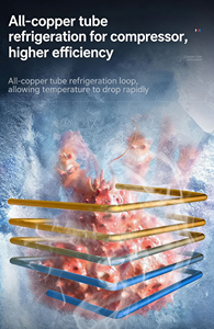 Refrigerador y Congelador Comercial de <span class=keywords><strong>6</strong></span> <span class=keywords><strong>Puertas</strong></span>, Vitrina Refrigerada para Exhibición de Carne con Tecnología Inverter - Product Image 6