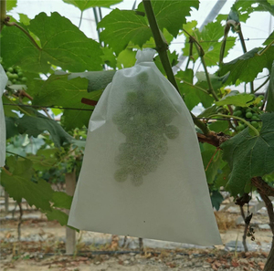 Bolsas de malla para plantas, cubiertas para uvas, bolsas no tejidas contra insectos, plagas y pájaros, estilo granja, marca YUMO, para proteger las frutas y flores de tus plantas - Product Image 4