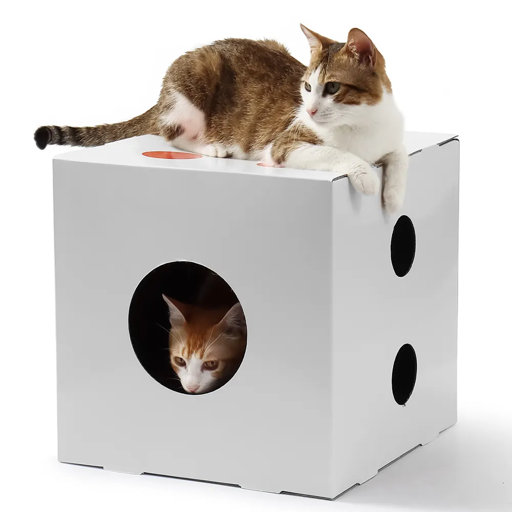 DIY karton kedi evi kapı kedi scratcher evi modern kedi kınamak ev