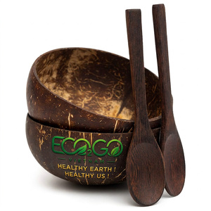 Meilleures ventes 2026 Bols en coque de noix de coco avec cuillère, haute qualité, logo personnalisé, faits main, écologiques, design classique, pour fêtes, Eco2go Vietnam - Product Image 1
