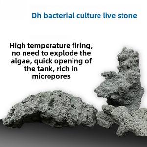 Duurzaam Milieuvriendelijk Live Zeewater <span class=keywords><strong>Aquarium</strong></span> Display Stenen Pure Kunstmatige Koraalstenen Met Filippijn Zandalgen - Product Image 2