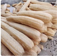Éponge naturelle en loofah à forte absorption d'eau, chiffon de nettoyage pour la vaisselle et les casseroles, tampon à récurer polyvalent, serviette de nettoyage ménagère