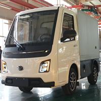 Mini camionnette électrique Endurance, autonomie de 300 km avec transmission automatique/manuelle, camion cargo de livraison du dernier kilomètre, petit