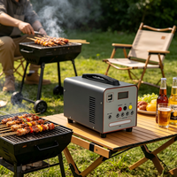 Générateur solaire compact à panneaux photovoltaïques, batterie LiFePO4, onduleur PWM à onde sinusoïdale pure, démarreur de voiture/camping-car, compresseur d'air, lampe de poche