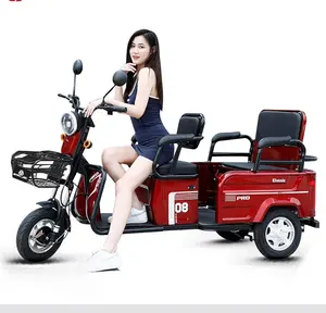 E Scooter 3 Bánh Xe Đạp Điện Xe Đạp Xe Đạp 600W 48V Ebike 3 Bánh Xe Ba Bánh Điện Đa Chức Năng Gia Đình Sử Dụng Hàng Hóa Điện Cung cấp