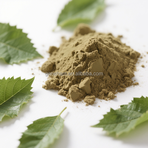 Chất lượng cao 10% dnj 1-deoxynojirimycin lá dâu tằm chiết xuất ở dạng bột Halal thảo dược polyphenol chai trống có thể đóng gói - Product Image 5