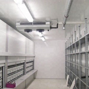 Cámara Frigorífica para Cebollas, Sistema de Refrigeración para Cámaras Frigoríficas, Puerta de Refrigeración para Verduras - Product Image 6
