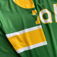 Maillot de hockey sur glace brodé personnalisé, vêtements de hockey sur glace pour hommes, maillots de hockey sur glace vierges