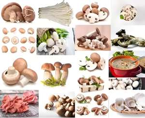 Machine d'emballage de champignons à prix abordable, machine de remplissage de sacs, machine d'emballage de champignons en paniers - Product Image 5