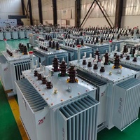 Transformador de Distribución Trifásico de 10kV 380V, Sumergido en Aceite, Bobinado Doble, Baja Elevación de Temperatura, Alto Aislamiento y Ahorro Energético