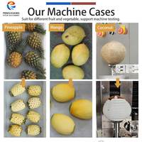 Fengxiang Commerciële Fruit Schilmachine RVS Pompoen Meloen Papaya Schiller Mango Kokosnoot Ananas Schilmachine
