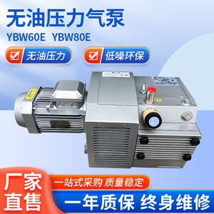 Compresseur d'air industriel rotatif Isge Ybw60e80e à pompe à pression unique 100000 Pa en fonte et acier inoxydable - Product Image 5