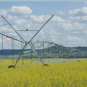 Ventes d'irrigateurs agricoles / Systèmes d'irrigation par pivots de Chine - Product Image 4