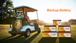 充電式12V 24V LiFePO4リチウム電池100AH 200AHエネルギー貯蔵<span class=keywords><strong>Li</strong></span>イオン電池キャンパーRVゴルフ用 - Product Image 3