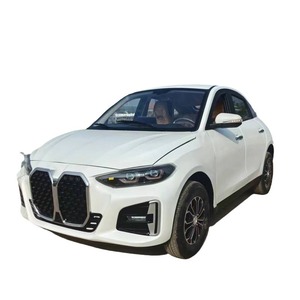 Veicolo Elettrico a Quattro Ruote per Anziani X9, Nuovo Modello, Alimentazione Ibrida Benzina-Elettrica, Motore 3.5kW, Autonomia 100km, Fornitura Diretta dalla Fabbrica - Product Image 1