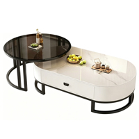 Table basse ovale moderne minimaliste de luxe en pierre frittée, pratique pour petit appartement