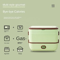 Boîte à lunch électrique durable à grande capacité HUFA HF-05 verte 110V/220V, double couche en acier inoxydable chauffant, vente en gros