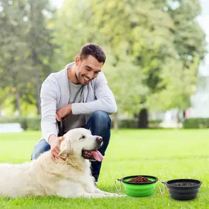 Cuencos para mascotas con logotipo personalizado para viajes, cuenco de alimentación de agua para mascotas, cuenco de comida plegable portátil de silicona para perros y gatos