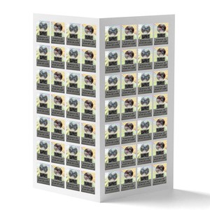 Garantía personalizada Void Sticker Etiqueta de papel recubierto Sello DE SEGURIDAD Temper Evident Label - Product Image 4