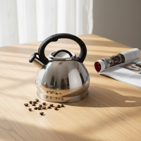 Nouveau produit bouilloire à café en acier inoxydable à induction résistante à la chaleur théière sifflante avec peinture en couleur pour l'utilisation de l'eau