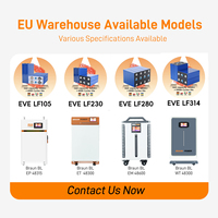 Batteries lithium-ion prismatiques 15 kWh 16 kWh 48 V 51,2 V 314 Ah en stock en Pologne pour systèmes de stockage d'énergie solaire domestique